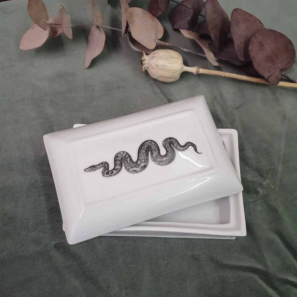 Serpent Big porcelain box