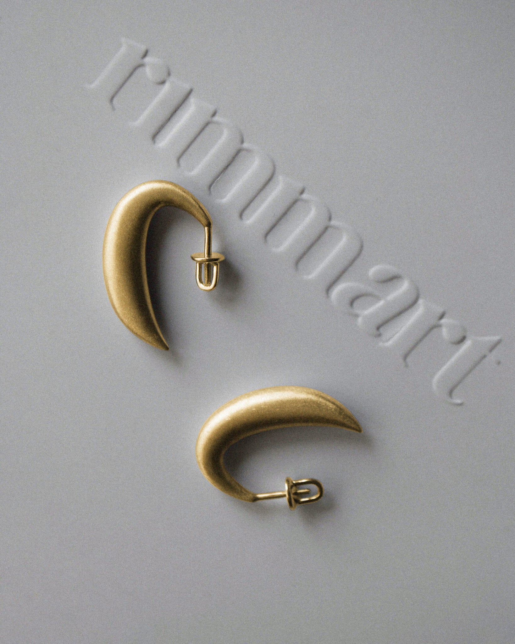 Hooks earrings